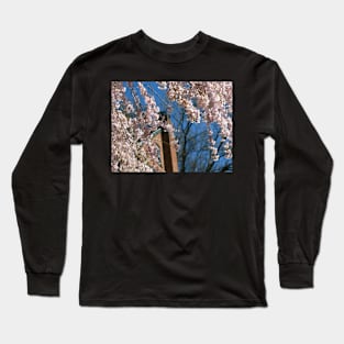 Spring Glory Long Sleeve T-Shirt